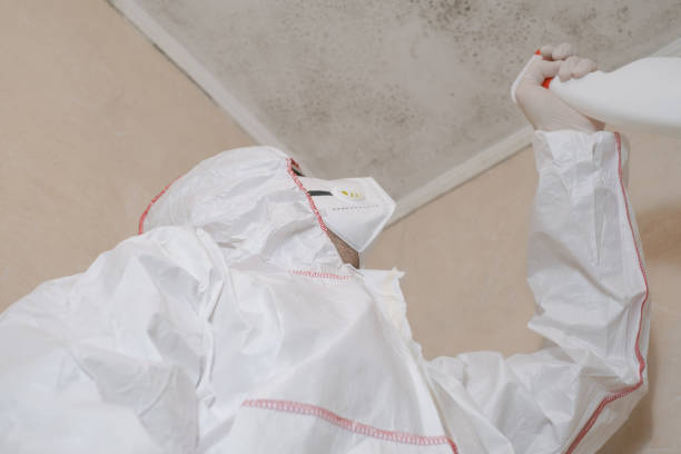 Best Office Mold Removal Services  in Wedgefield, FL