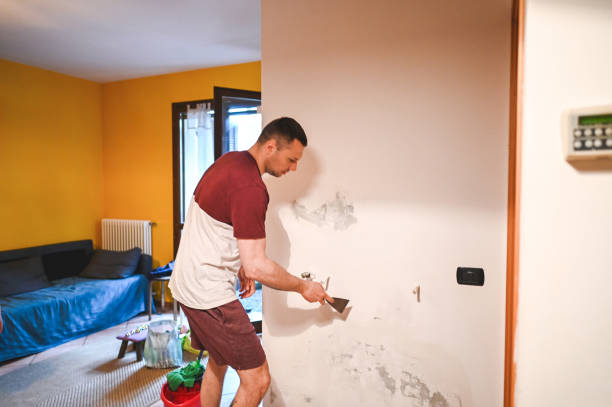 Best Affordable Mold Removal  in Wedgefield, FL